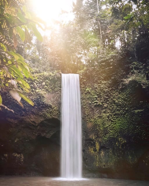 Ubud Higlights - Monkey Forest, Rice Terrace & Waterfall - Tegalalang Rice Terrace
