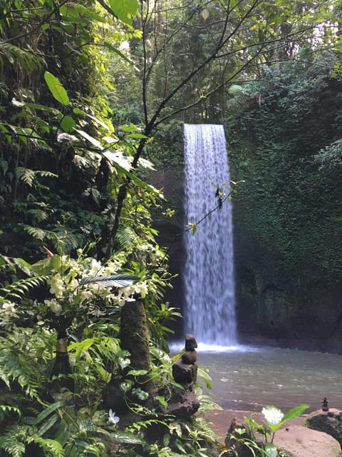 Ubud Higlights - Monkey Forest, Rice Terrace & Waterfall - Frequently Asked Questions
