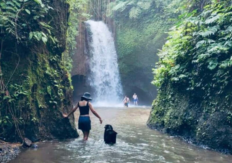 Ubud: Horse Riding, Zip-Line Tour & Manuaba Waterfall Tour - An Overview of What Makes This Tour Special