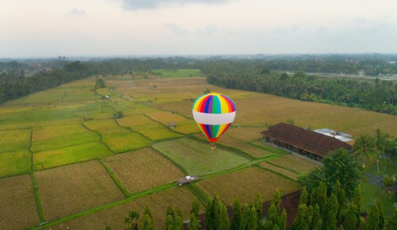 Ubud: Hot Air Balloon Experience - Customer Insights