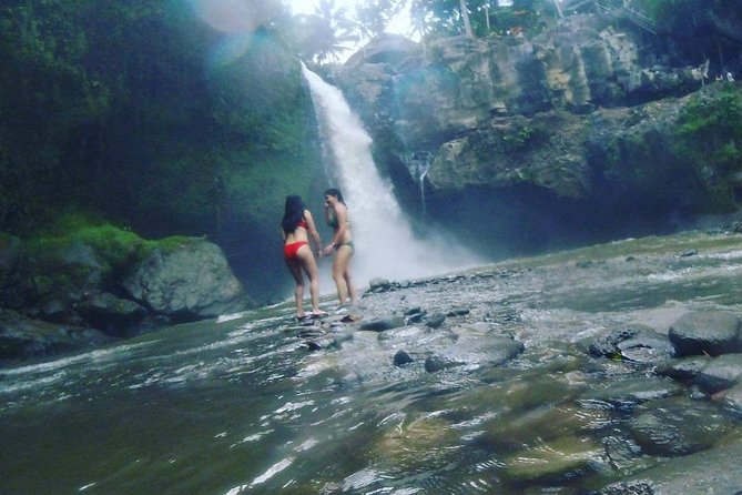 Ubud Hot Springs and Waterfall Private Guided Tour Free WiFi - Pricing and Booking