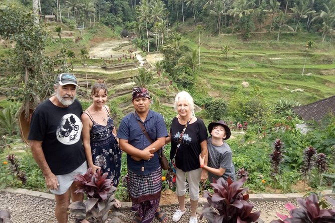 Ubud Hot Springs and Waterfall Private Guided Tour Free WiFi - Buffet Lunch With a View