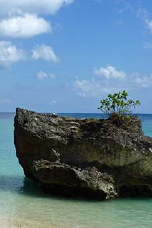 Ubud/Jimbaran: Romantic, Hit the Heart Tour - Inclusions