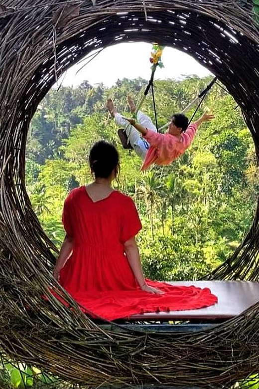 Ubud: Jungle Bali Swing Ticket With Tegalalang Rice Terraces - Experience Overview