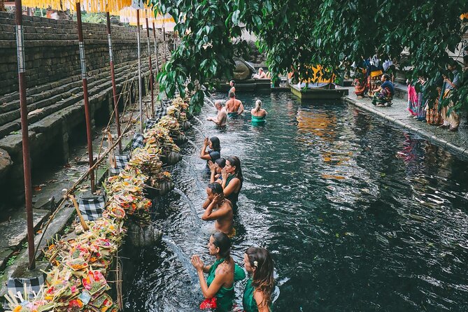 Ubud Jungle Swing - Monkey Forest - Water Temple - Waterfall - Pricing and Booking Information