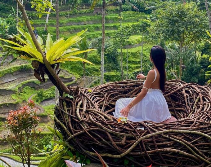 Ubud: Kanto Lampo, Tukad Cepung, Rice Terrace, Batuan Temple - Transportation and Accessibility