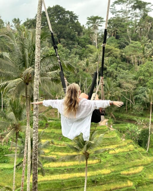 Ubud: Kanto Lampo Waterfalls, Jungle Swing, Rice Terrace - Itinerary Highlights