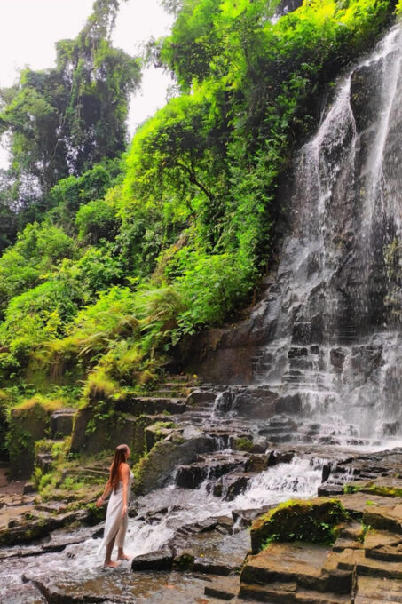 Ubud: Kanto Lampo Waterfalls, Jungle Swing, Rice Terrace - Private and Personalized