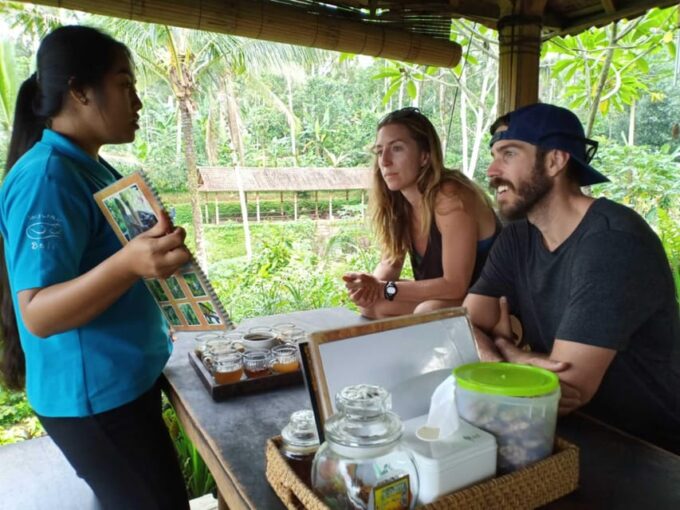 Ubud: Kanto Lampo Waterfalls, Jungle Swing, Rice Terrace - Frequently Asked Questions