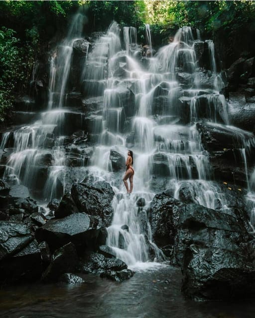 Ubud: Monkey Forest, Cretya Ubud, Tirta Empul, Waterfall - Suitable for and Restrictions