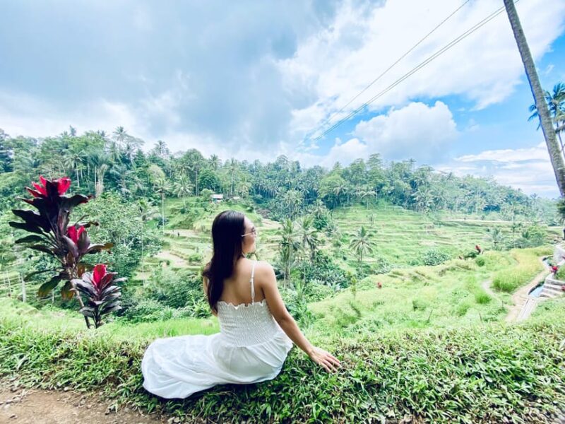Ubud: Monkey Forest, Holy Water Temple, and Hot Springs Tour - Itinerary and Activities