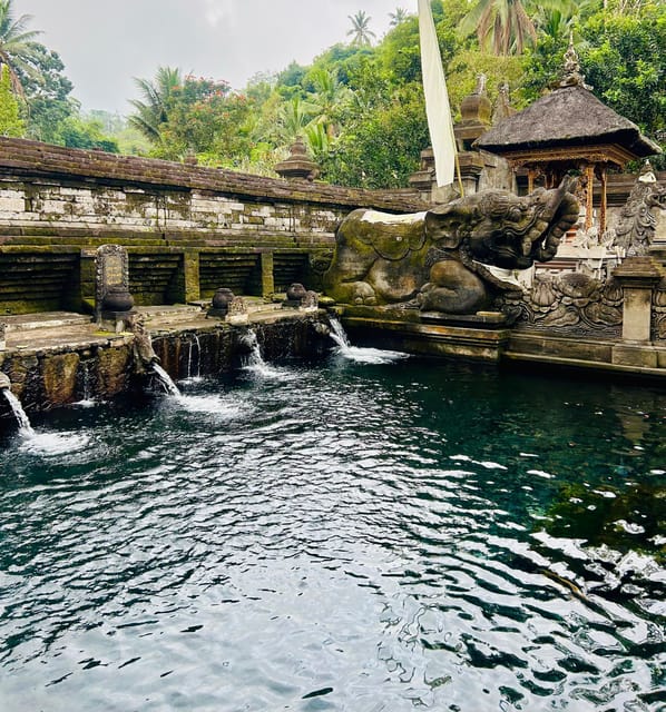 Ubud: Monkey Forest, Holy Water Temple, and Hot Springs Tour - Inclusions