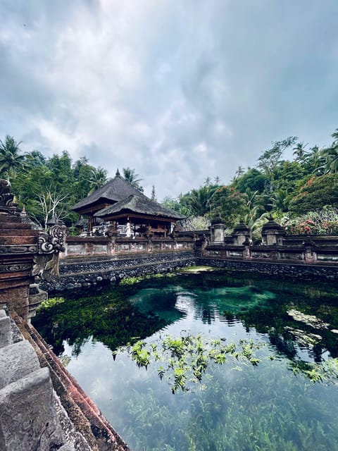 Ubud: Monkey Forest, Holy Water Temple, and Hot Springs Tour - Exploring Ubuds Attractions