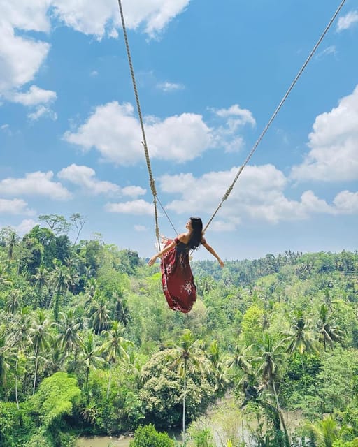 Ubud: Monkey Forest, Rice Terrace and Tanah Lot Sunset Tour - Key Points