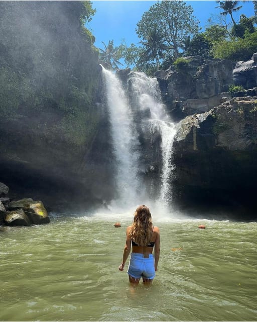 Ubud: Monkey Forest, Rice Terrace and Tanah Lot Sunset Tour - Tegalalang Rice Terrace