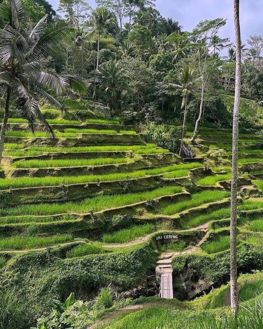 Ubud: Monkey Forest, Rice Terrace and Tanah Lot Sunset Tour - Frequently Asked Questions