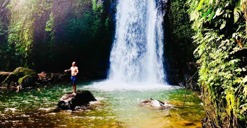 Ubud: Monkey Forest, Rice Terrace, Water Temple & Waterfalls - Key Points