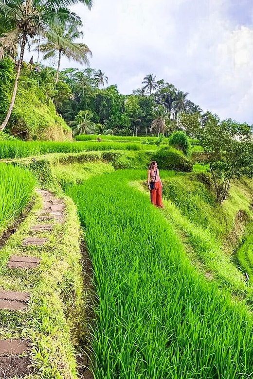 Ubud: Monkey Forest, Rice Terrace, Water Temple & Waterfalls - Key Activities