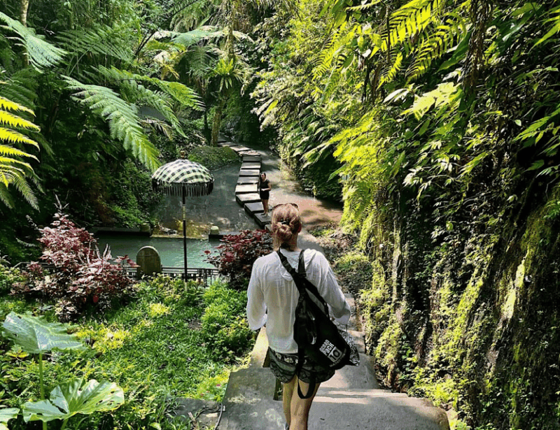 Ubud Monkey Forest, Rice Terrace, Waterfall and Water Temple - Duration and Price