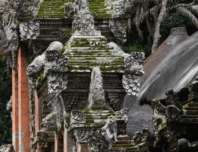 Ubud Monkey Forest, Rice Terrace, Waterfall and Water Temple - Frequently Asked Questions