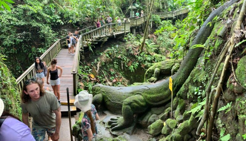 Ubud: Monkey Forest, Rice Terrace & Waterfall Guided Tour - Important Information