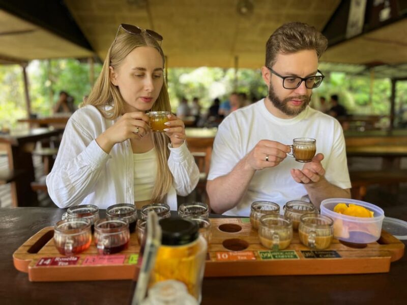 Ubud: Monkey Forest, Rice Terrace, Waterfall, Water Temple - Pickup and Drop-off