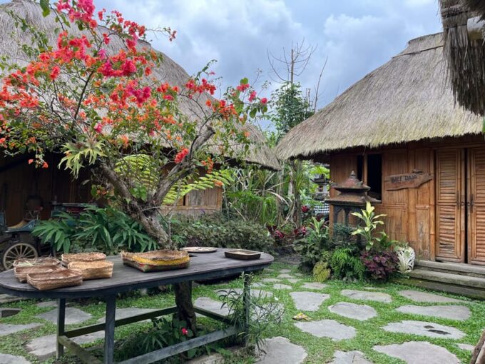 Ubud: Monkey Forest, Rice Terrace, Waterfall, Water Temple - What to Bring and Avoid