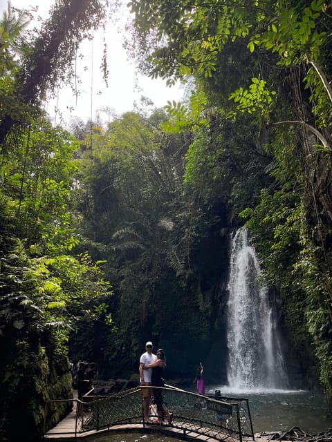 Ubud: Monkey Forest, Rice Terrace, Waterfall, Water Temple - Additional Experiences