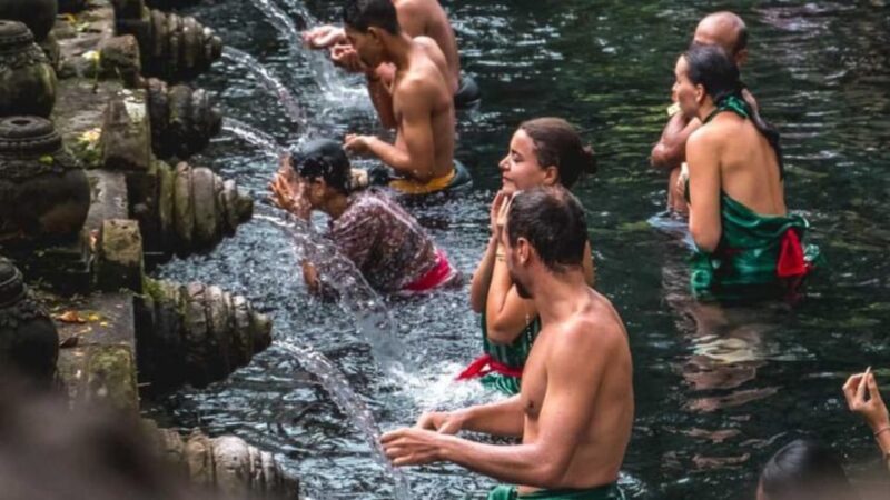 Ubud: Monkey Forest, Rice Terraces, Temple&Petanu Waterfall - Key Points