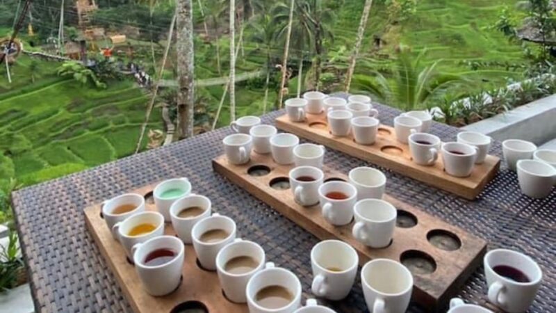 Ubud: Monkey Forest, Rice Terraces, Temple&Petanu Waterfall - Pickup and Drop-off Locations