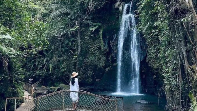 Ubud: Monkey Forest, Rice Terraces, Temple&Petanu Waterfall - Included in the Tour