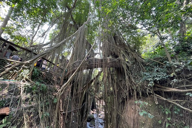 Ubud Monkey Forest Sanctuary Entrance Ticket All Inclusive - Visitor Reviews and Experiences