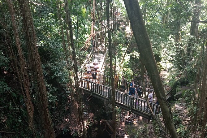 Ubud Monkey Forest Sanctuary Entrance Ticket All Inclusive - Exploring the Monkey Forest