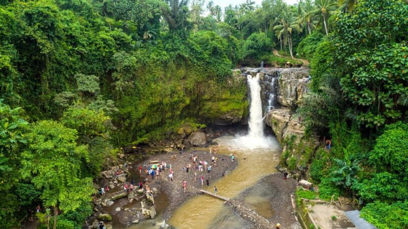 Ubud: Monkey Forest, Tegenungan Waterfall, Rice Terrace Tour - Main Stops