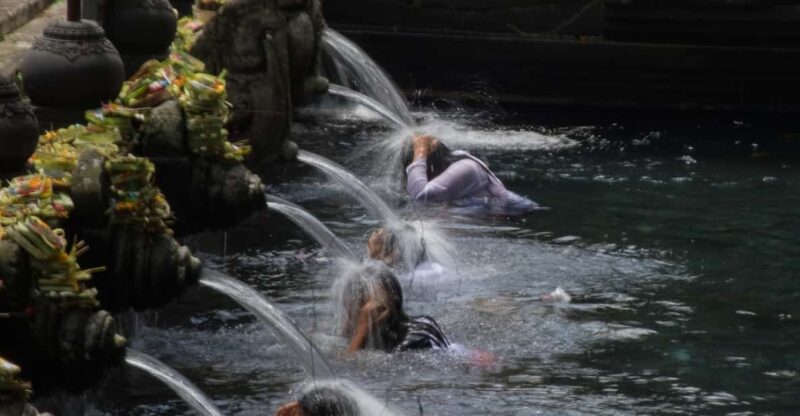 Ubud: Nature and Cultural Tour - Transportation and Pickup Details