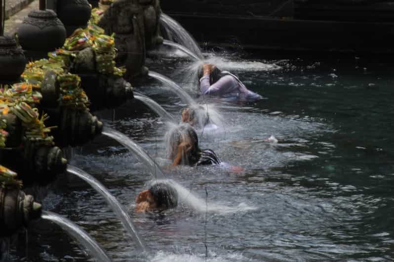 Ubud: Nature and Cultural Tour - Itinerary Highlights