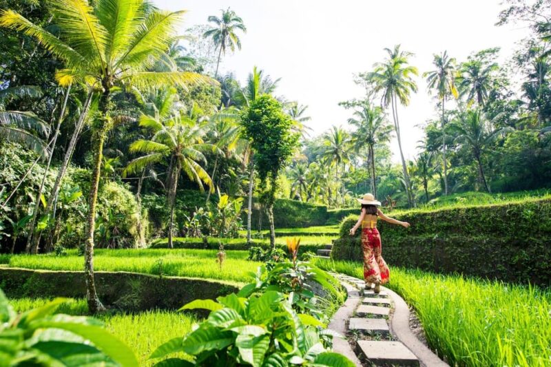 Ubud: Nature and Cultural Tour - Sacred Monkey Forest Sanctuary