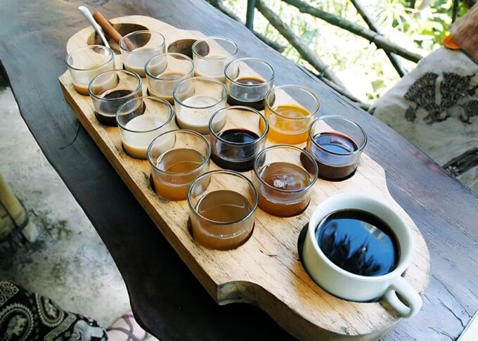 Ubud: Nature and Culture Explorer - Important Considerations