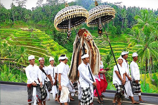 Ubud Nature Tours Including Culture, Arts, Temple, Volcano, Rice Field & Shows - Key Points