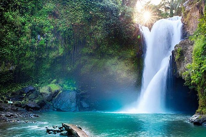Ubud Nature Tours Including Culture, Arts, Temple, Volcano, Rice Field & Shows - Cultural Exploration