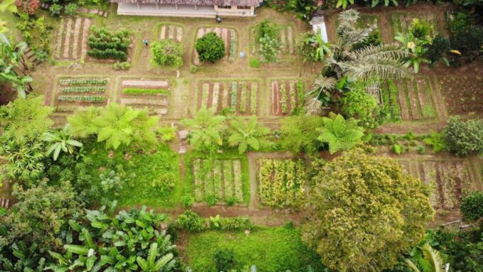 Ubud: Organic Farm Harvest, Bali Cooking Class by Pemulan - Shared Cooking Stations