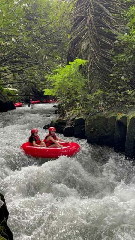 Ubud: Pakerisan Jungle River Tubing Adventure with Lunch - Who Should Book This Tour?