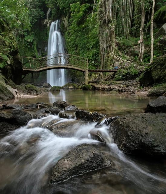 Ubud Private Bali Tour - Key Points