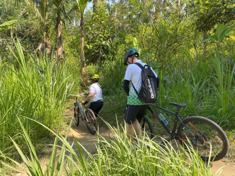 Ubud : PRIVATE Bike Tour Inside Rice Field With Meal & Pool - Participant Information
