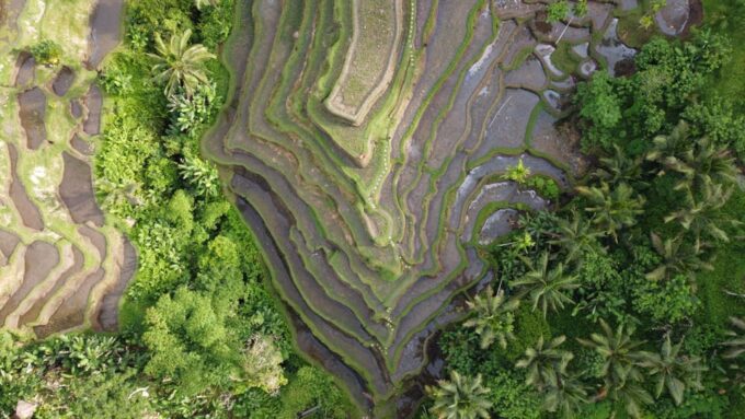 Ubud Private Customized Full-Day Tours With Photographer - Recap