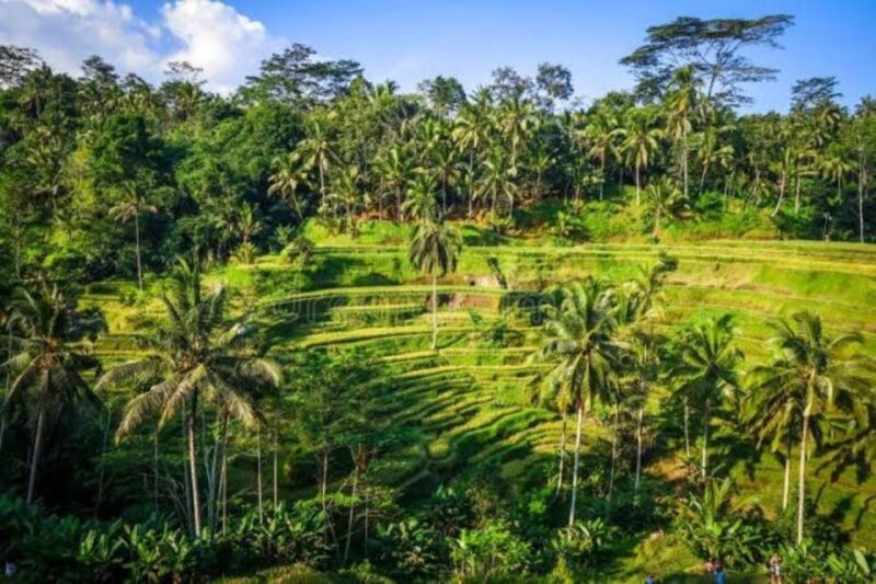 Ubud Private Day Tour With Bali Lady Driver - Waterfalls