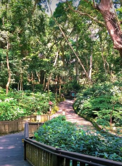 Ubud Private Day Tour With Bali Lady Driver - Frequently Asked Questions