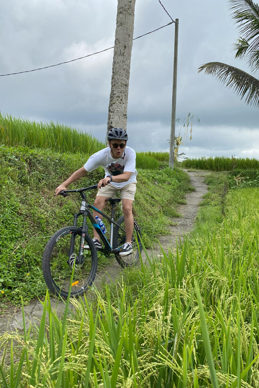Ubud: PRIVATE E-Bike Tour Inside Rice Field With Meal & Pool - Itinerary Highlights