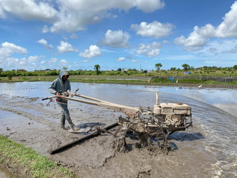 Ubud: PRIVATE E-Bike Tour Inside Rice Field With Meal & Pool - Participant Guidelines