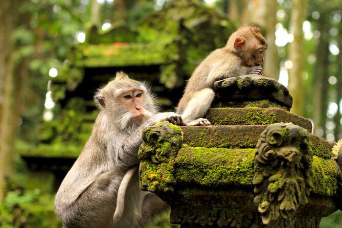 Ubud: Private Full Day Tour (All-in-One Complete) - Tour Details